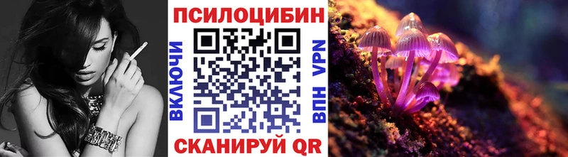 Купить Сортавала Галлюциногенные грибы Psilocybe